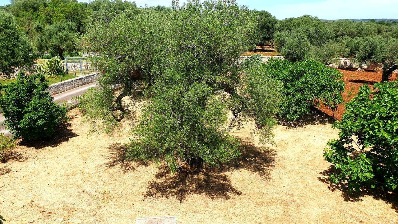 Trullallegro Ostuni
